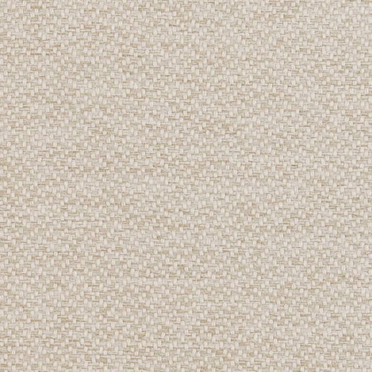 D1381 Plain & Solid Oyster Beige & Taupe Charlotte Fabrics