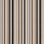 D1423 Stripe Desert Stripe Black,Brown Charlotte Fabrics