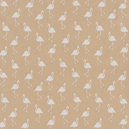 D1437 Novelty Ecru Flamingo Beige & Taupe Charlotte Fabrics