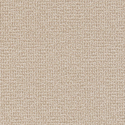 D1446 Plain & Solid Sandstone Texture Beige & Taupe Charlotte Fabrics