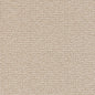 D1446 Plain & Solid Sandstone Texture Beige & Taupe Charlotte Fabrics
