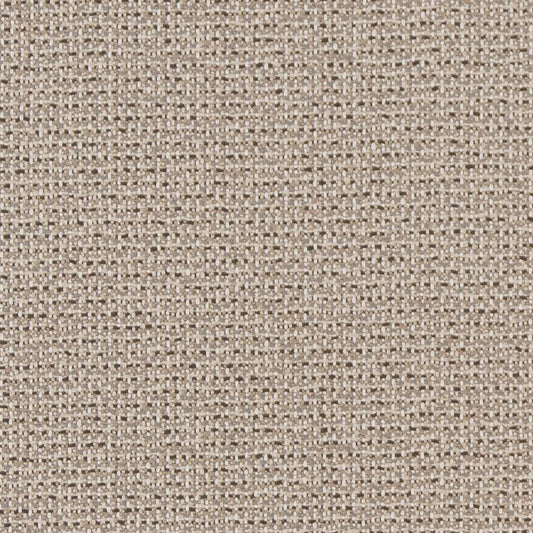 D1447 Plain & Solid Ecru Texture Beige & Taupe Charlotte Fabrics
