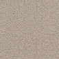 D1447 Plain & Solid Ecru Texture Beige & Taupe Charlotte Fabrics