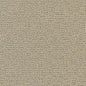 D1449 Plain & Solid Lime Texture Green Charlotte Fabrics