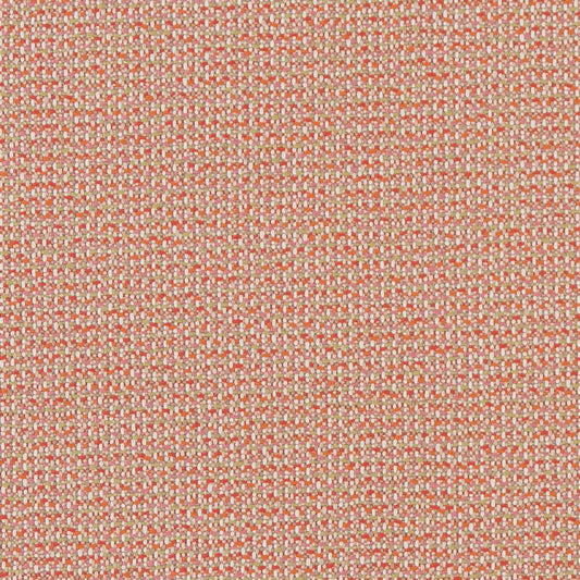 D1450 Plain & Solid Punch Texture Orange & Rust Charlotte Fabrics