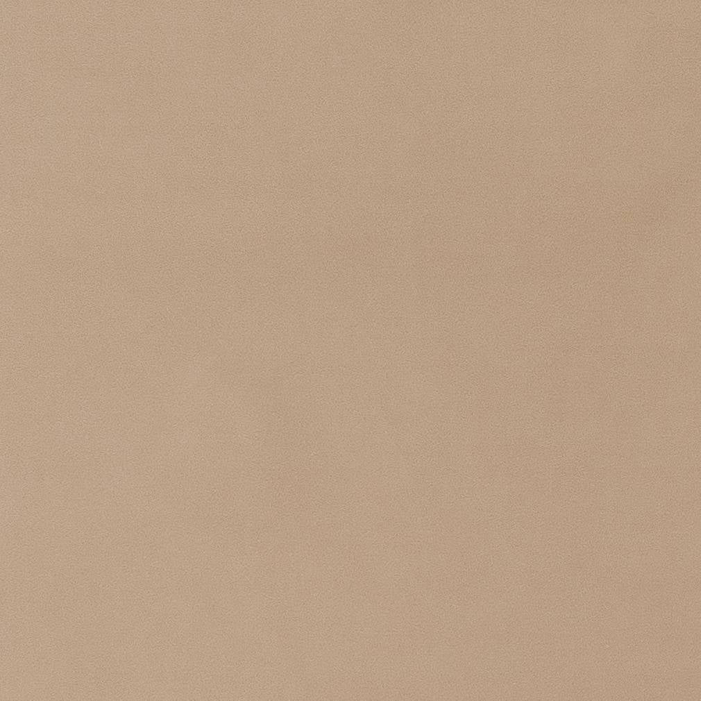 D1462 Plain & Solid Fawn Beige & Taupe Charlotte Fabrics