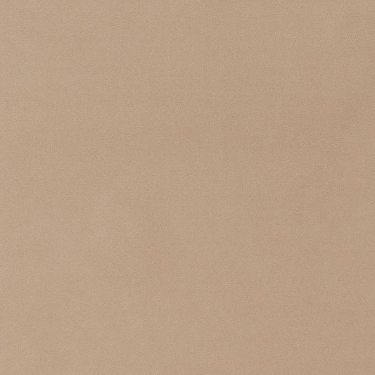 D1462 Plain & Solid Fawn Beige & Taupe Charlotte Fabrics