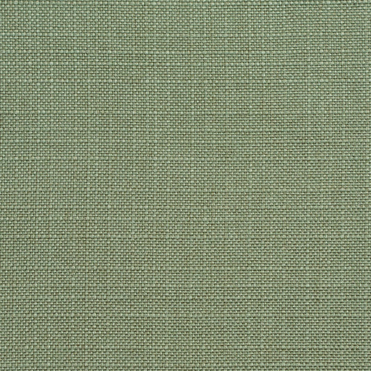 D147 Plain & Solid Juniper Green Charlotte Fabrics