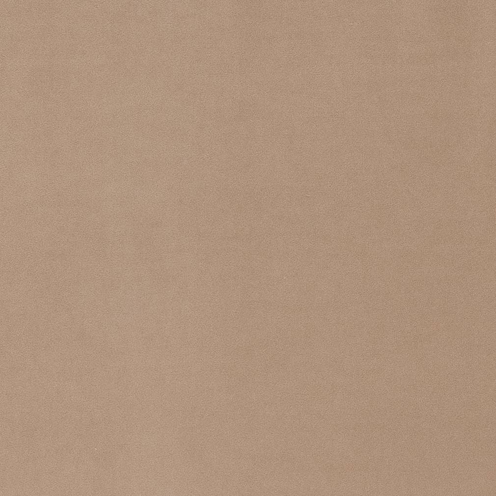 D1481 Plain & Solid Buff Beige & Taupe Charlotte Fabrics