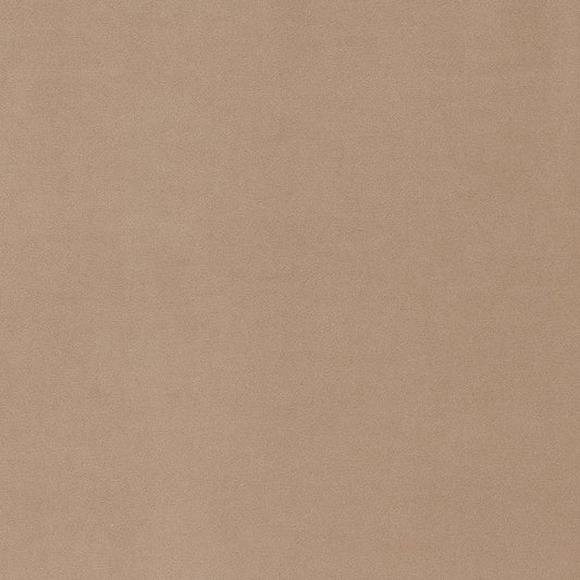 D1481 Plain & Solid Buff Beige & Taupe Charlotte Fabrics