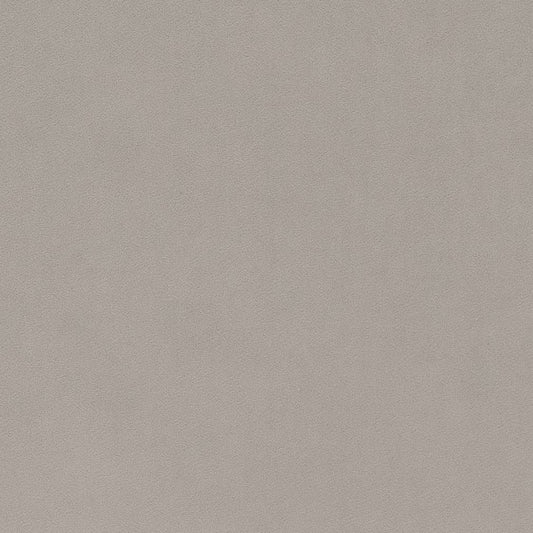 D1486 Plain & Solid Platinum Grey & Silver Charlotte Fabrics