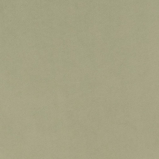 D1494 Plain & Solid Mint Green Charlotte Fabrics