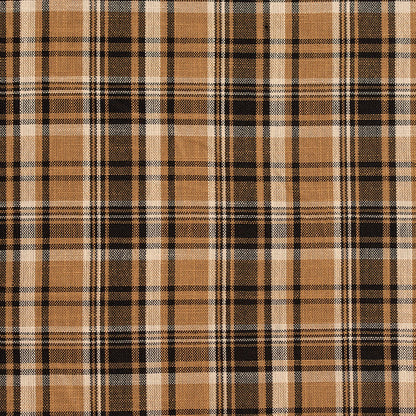 D152 Plaid Onyx Tartan Black,Brown Charlotte Fabrics