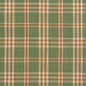 D154 Plaid Juniper Tartan Green Charlotte Fabrics