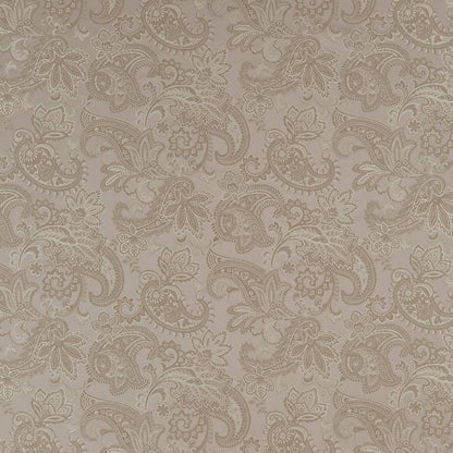 D1558 Floral,Paisley Pewter Paisley Grey & Silver Charlotte Fabrics
