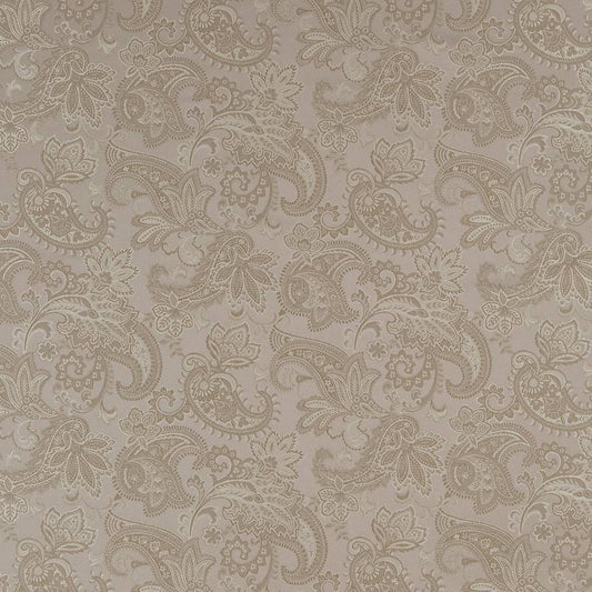 D1558 Floral,Paisley Pewter Paisley Grey & Silver Charlotte Fabrics