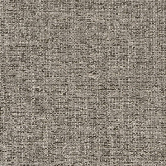 D1570 Plain & Solid Pewter Grey & Silver Charlotte Fabrics