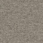 D1570 Plain & Solid Pewter Grey & Silver Charlotte Fabrics
