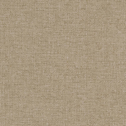 D1572 Plain & Solid Fawn Beige & Taupe Charlotte Fabrics