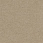 D1572 Plain & Solid Fawn Beige & Taupe Charlotte Fabrics