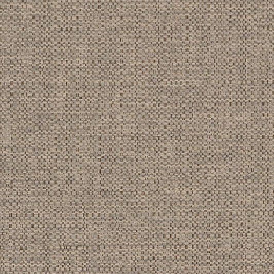 D1577 Plain & Solid Dove Grey & Silver Charlotte Fabrics