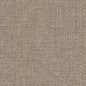 D1577 Plain & Solid Dove Grey & Silver Charlotte Fabrics
