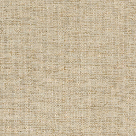 D1581 Plain & Solid Beach Beige & Taupe Charlotte Fabrics