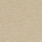 D1581 Plain & Solid Beach Beige & Taupe Charlotte Fabrics