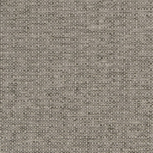 D1582 Plain & Solid Platinum Grey & Silver Charlotte Fabrics