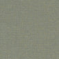D1583 Plain & Solid Mist Aqua & Teal Charlotte Fabrics