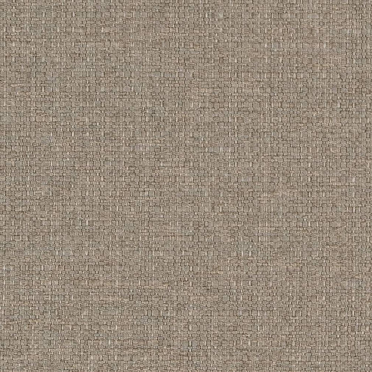 D1586 Plain & Solid Stone Grey & Silver Charlotte Fabrics