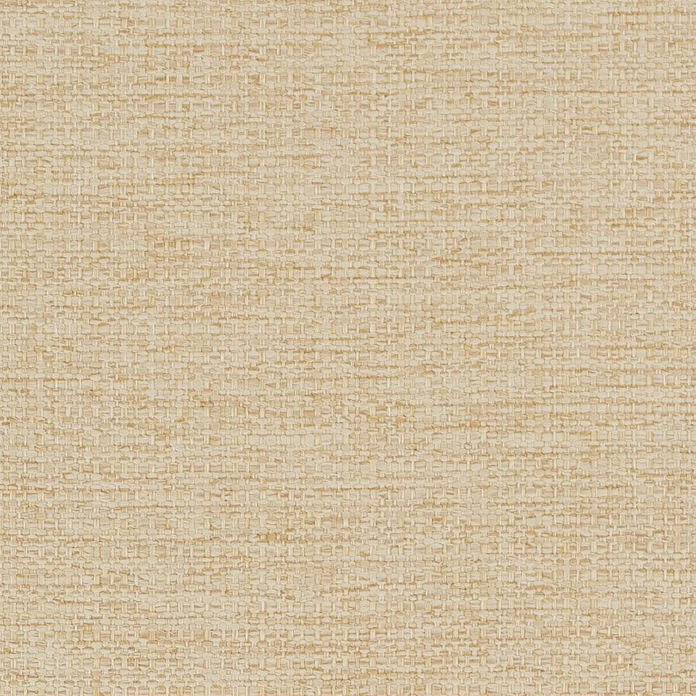 D1589 Plain & Solid Cashew Beige & Taupe Charlotte Fabrics