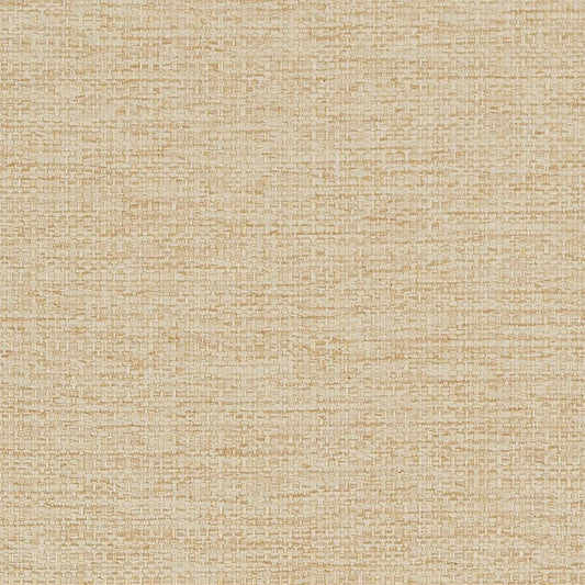 D1589 Plain & Solid Cashew Beige & Taupe Charlotte Fabrics