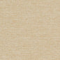 D1589 Plain & Solid Cashew Beige & Taupe Charlotte Fabrics
