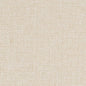 D1591 Plain & Solid Natural White & Ivory Charlotte Fabrics