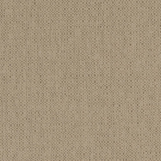 D1593 Plain & Solid Dune Grey & Silver Charlotte Fabrics