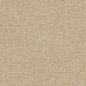 D1594 Plain & Solid Barley Beige & Taupe Charlotte Fabrics