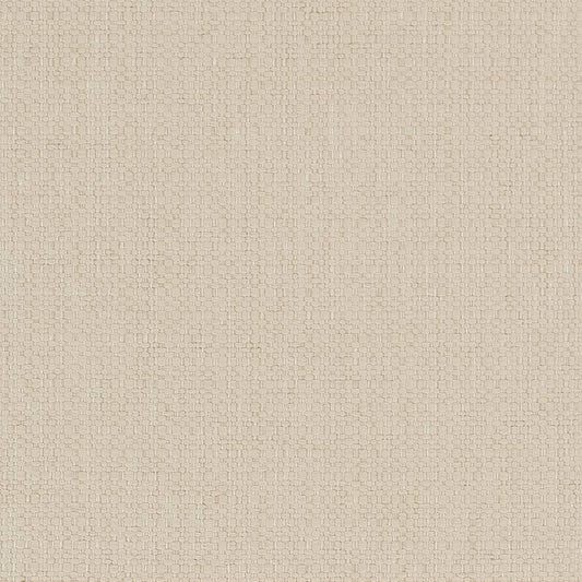 D1596 Plain & Solid Bone White & Ivory Charlotte Fabrics