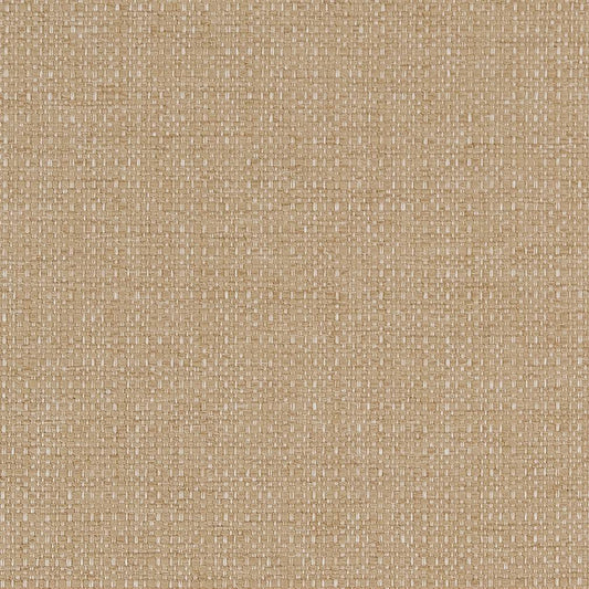 D1599 Plain & Solid Almond Beige & Taupe Charlotte Fabrics