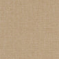 D1599 Plain & Solid Almond Beige & Taupe Charlotte Fabrics