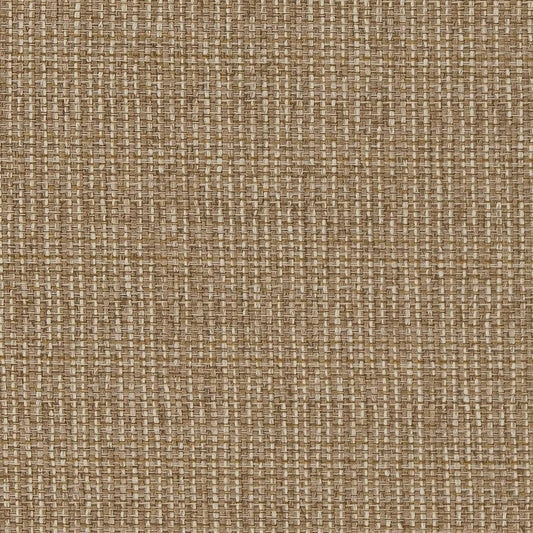 D1610 Plain & Solid Almond Brown Charlotte Fabrics