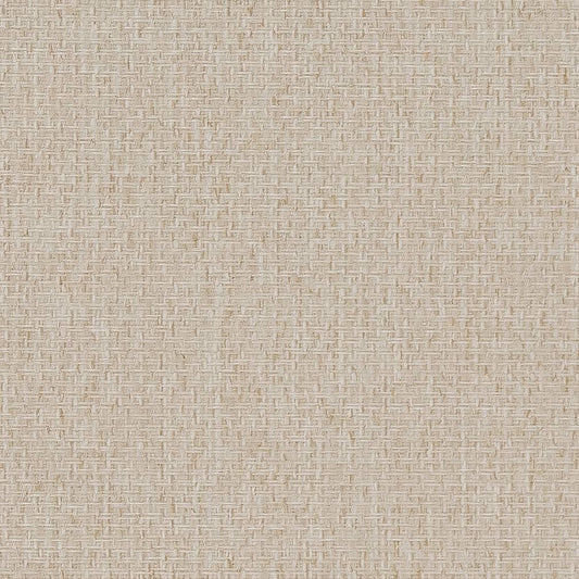 D1617 Plain & Solid Parchment Beige & Taupe Charlotte Fabrics