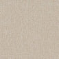 D1617 Plain & Solid Parchment Beige & Taupe Charlotte Fabrics