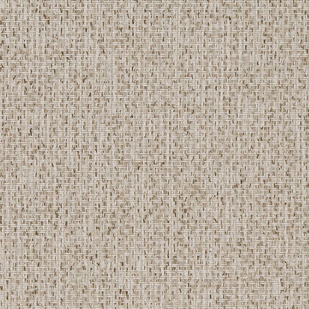 D1619 Plain & Solid Birch Beige & Taupe Charlotte Fabrics