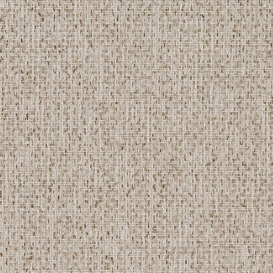 D1619 Plain & Solid Birch Beige & Taupe Charlotte Fabrics