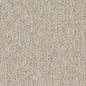 D1619 Plain & Solid Birch Beige & Taupe Charlotte Fabrics