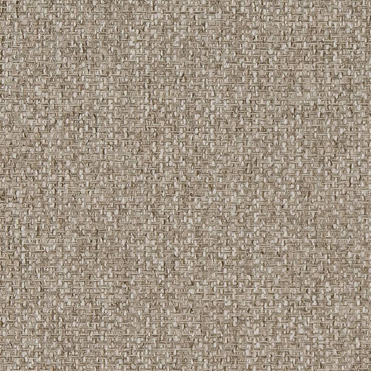 D1621 Plain & Solid Mushroom Beige & Taupe Charlotte Fabrics