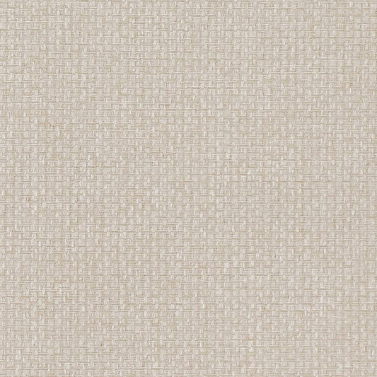 D1626 Plain & Solid Natural White & Ivory Charlotte Fabrics
