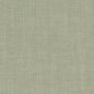 D1701 Plain & Solid Spring Aqua & Teal Charlotte Fabrics