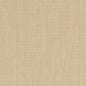 D1702 Plain & Solid Sand Beige & Taupe Charlotte Fabrics
